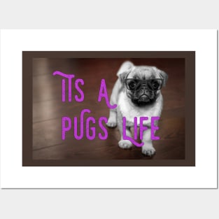 It's A Pugs Life Posters and Art